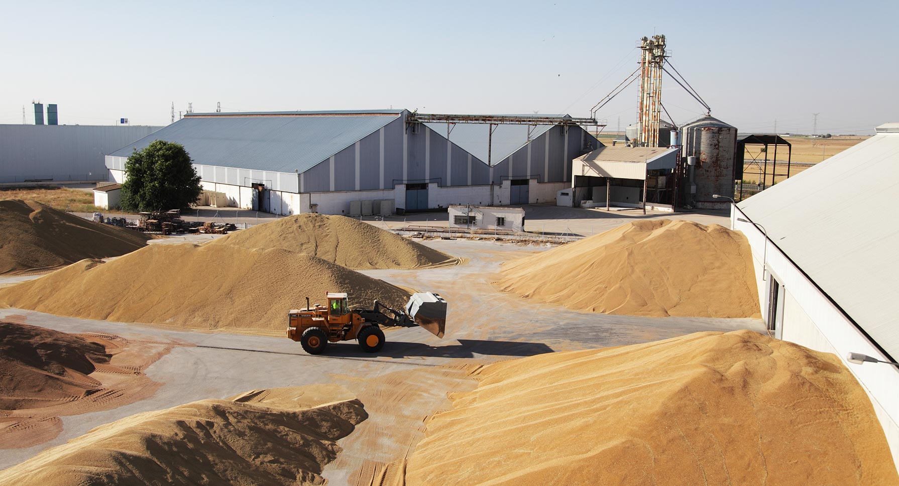 Almacenamiento Agraria San Antón