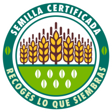 Semillas certificadas