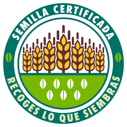 Semillas certificadas