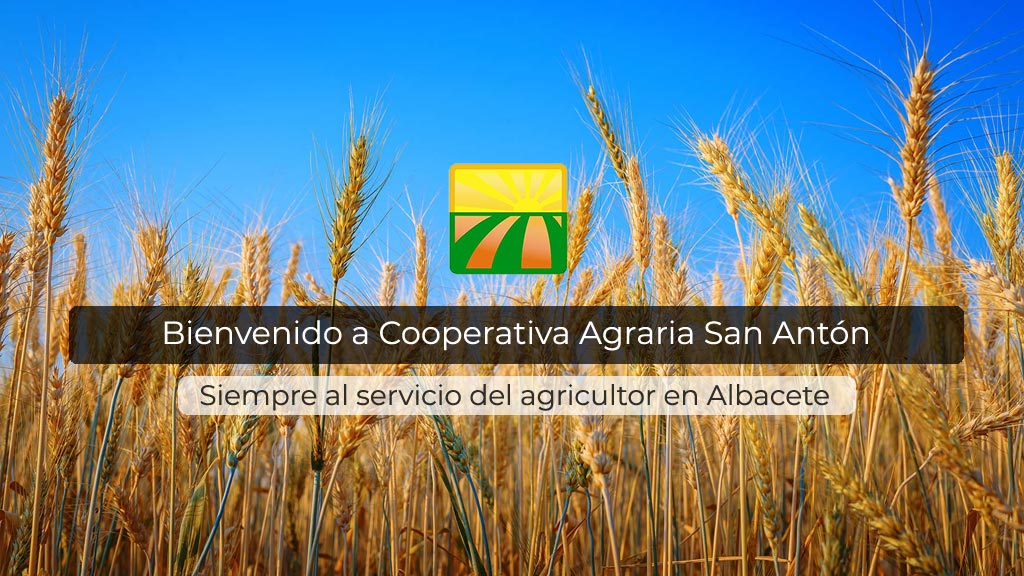 Cooperativa Agraria San Antón | Secadero de maíz y cereales